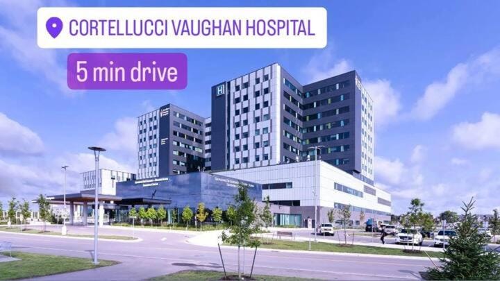 Cozy Walkout Suite Apartment in Vaughan