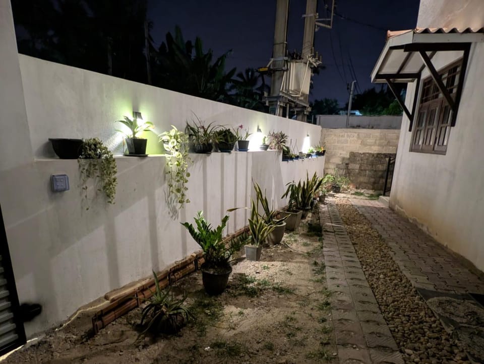 Night, Garden view