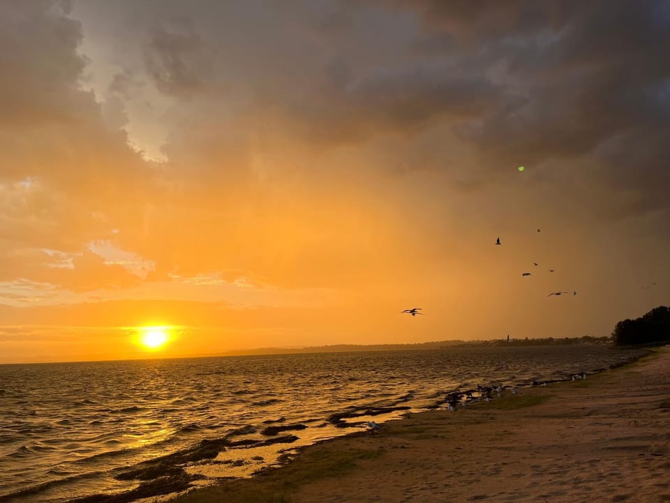 Natural landscape, Beach, Sunset