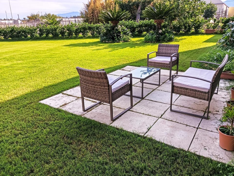 Garden, Garden view, Garden view
