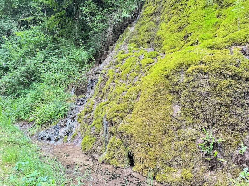 Natural landscape