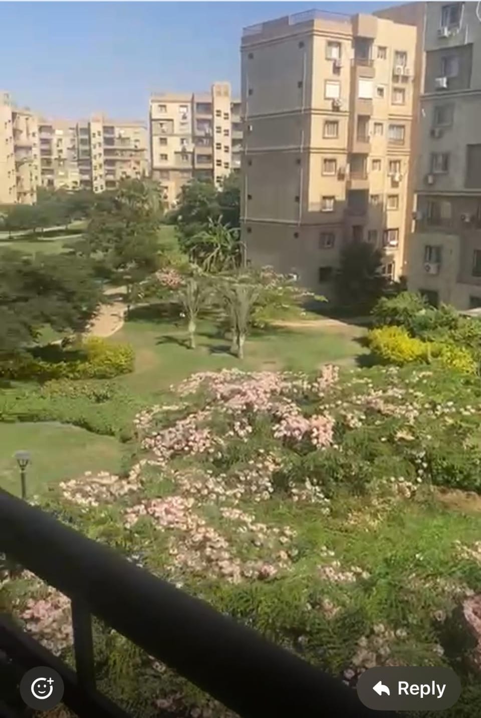 Property building, Garden, Balcony/Terrace