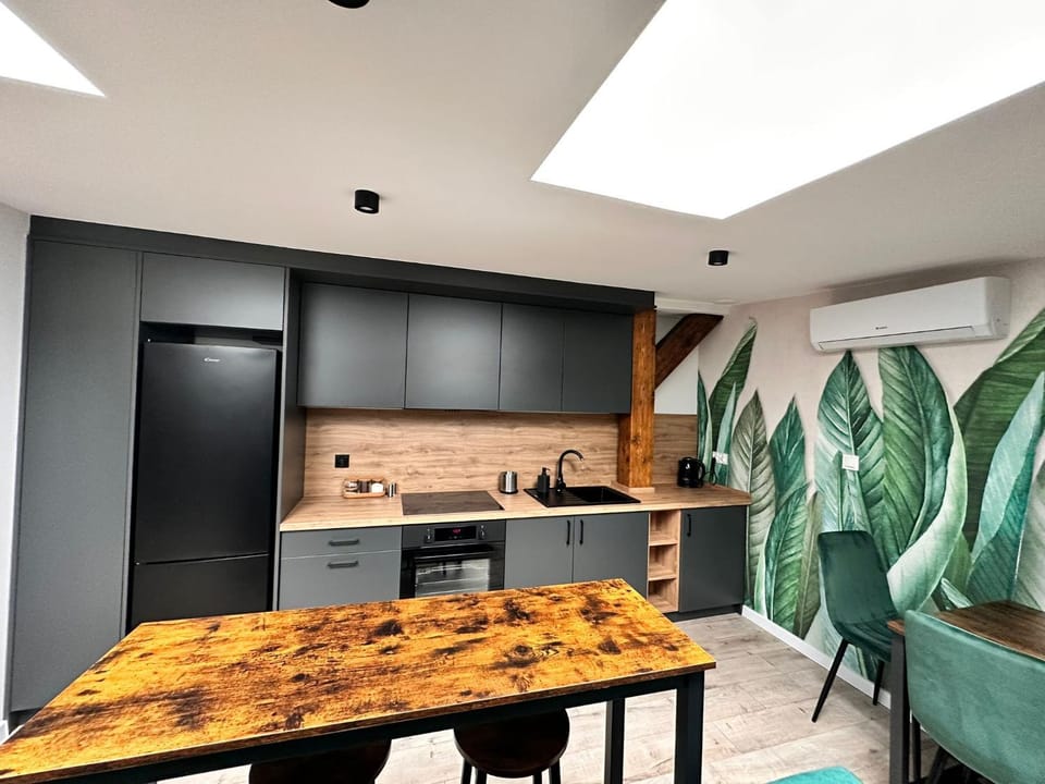 Kitchen or kitchenette, Dining area, oven