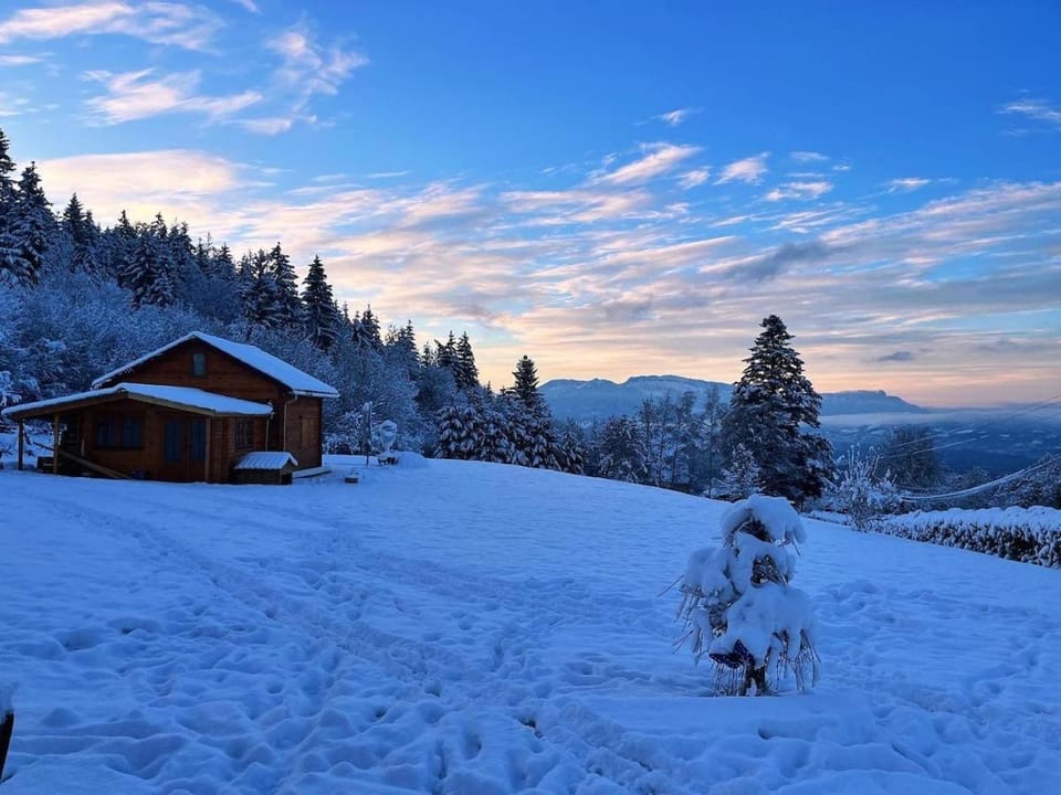 Le Spirit, Chalet 2 personnes Chalet in Haute-Savoie
