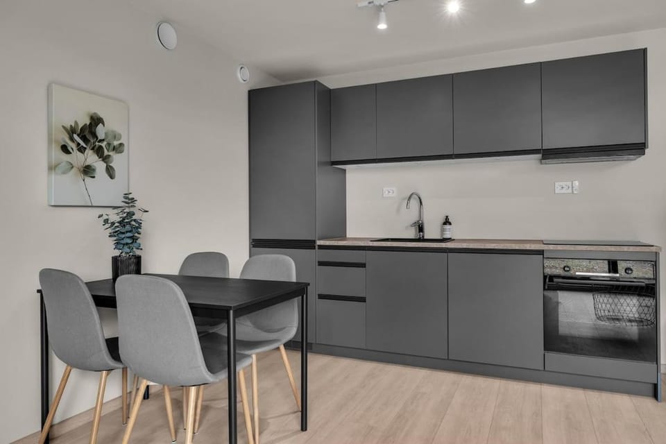 Kitchen or kitchenette, Dining area, dishwasher, stove