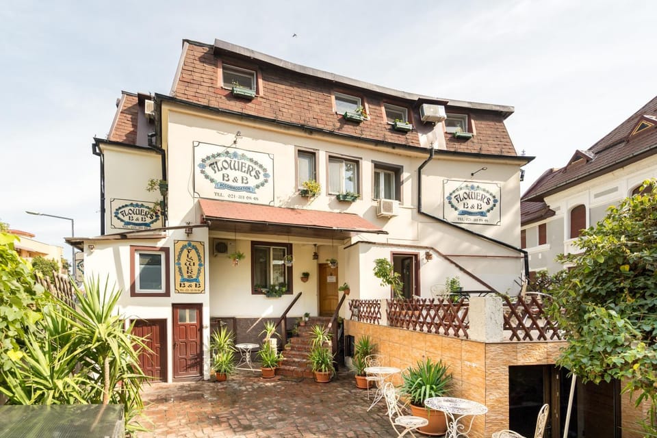 Property building, Garden view