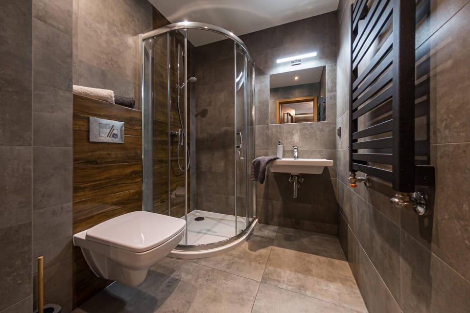 Shower, Toilet, Bathroom, towels