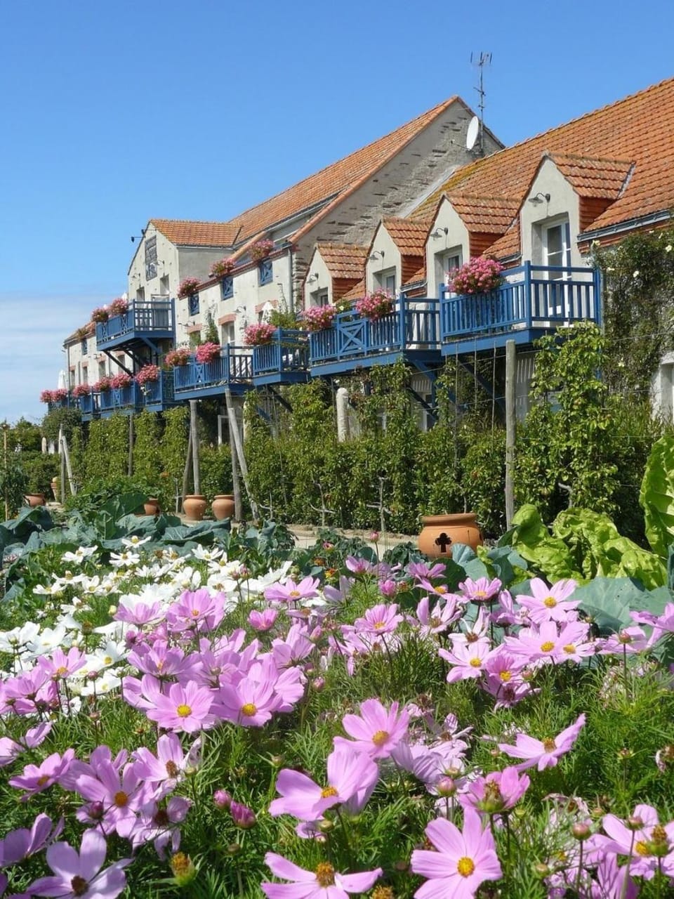 Property building, Garden