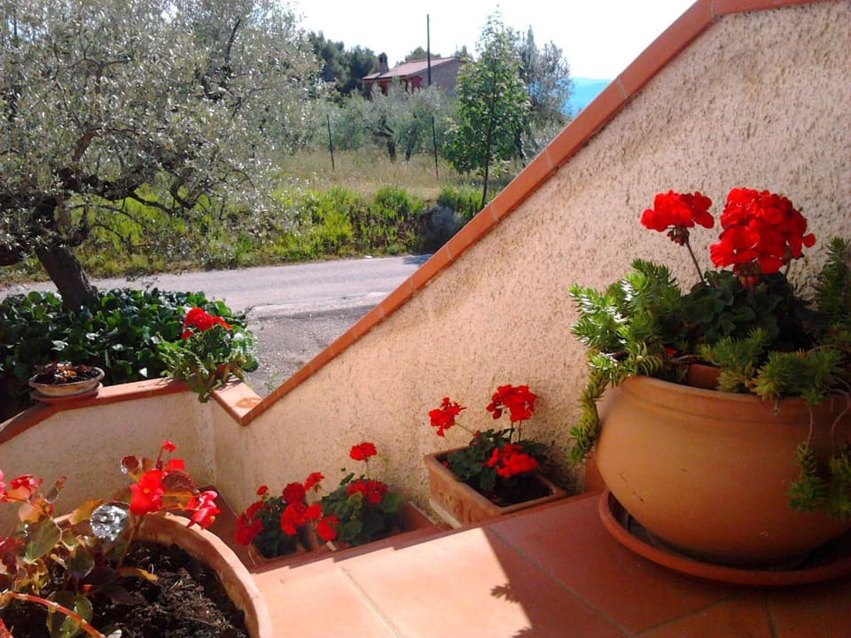 Facade/entrance, Summer