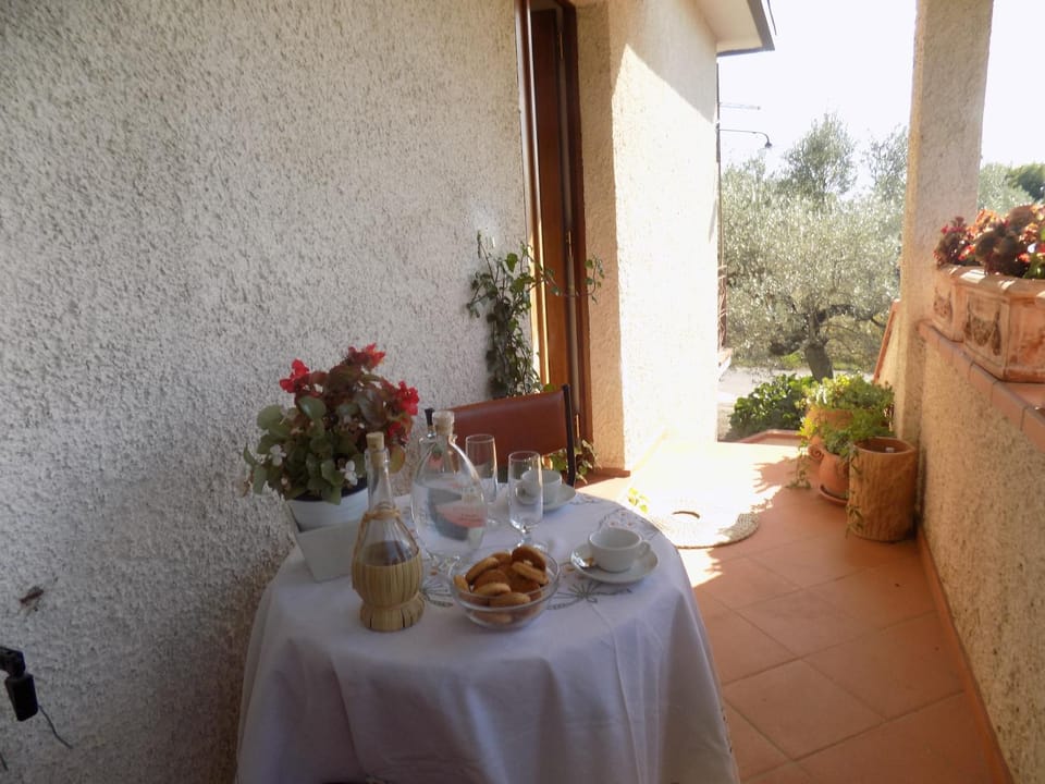 Balcony/Terrace, Food and drinks