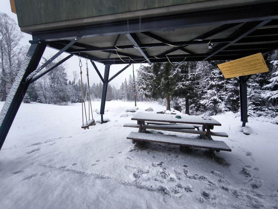 Posed v lese Luxury tent in Czechia