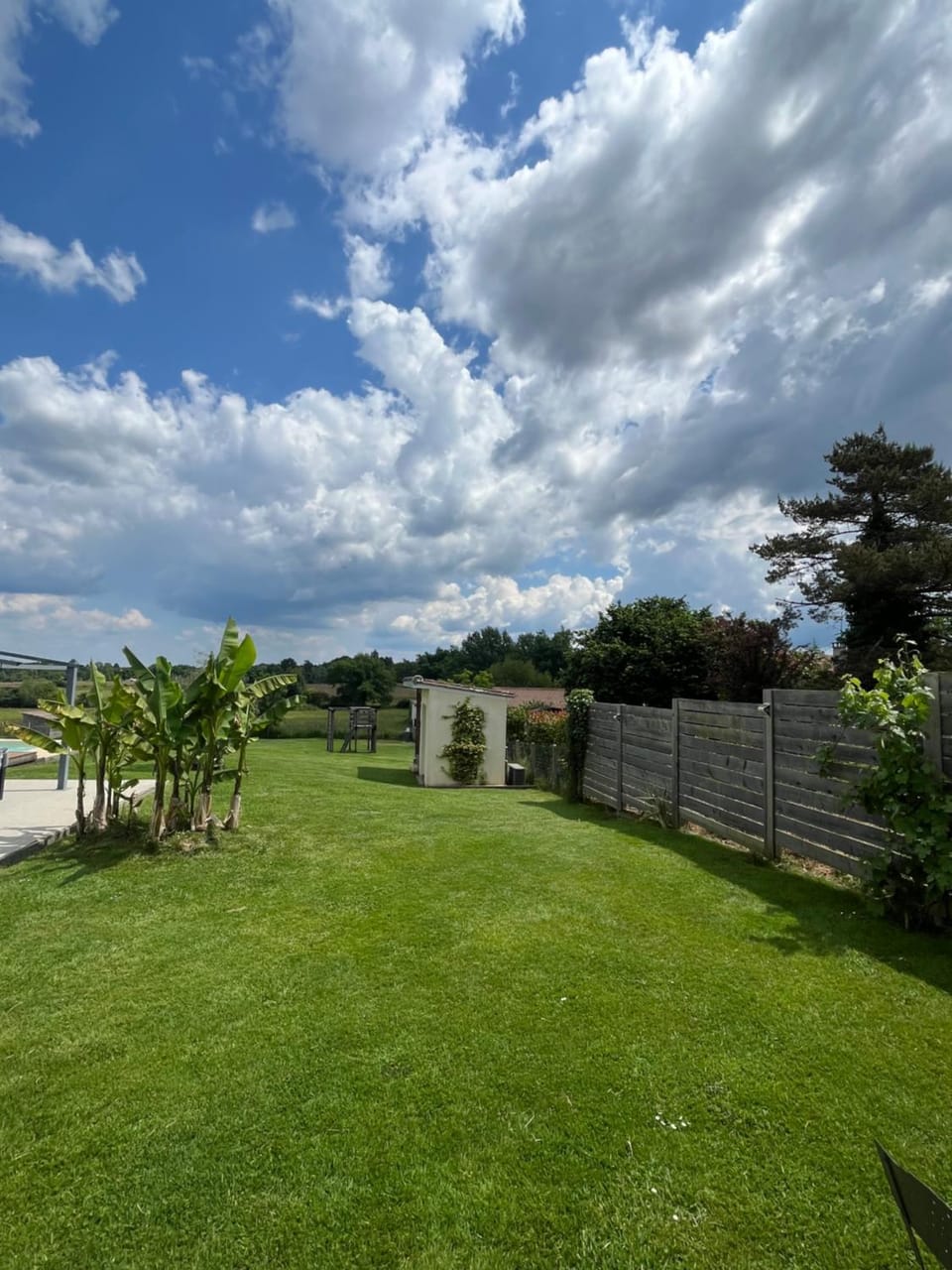Garden view