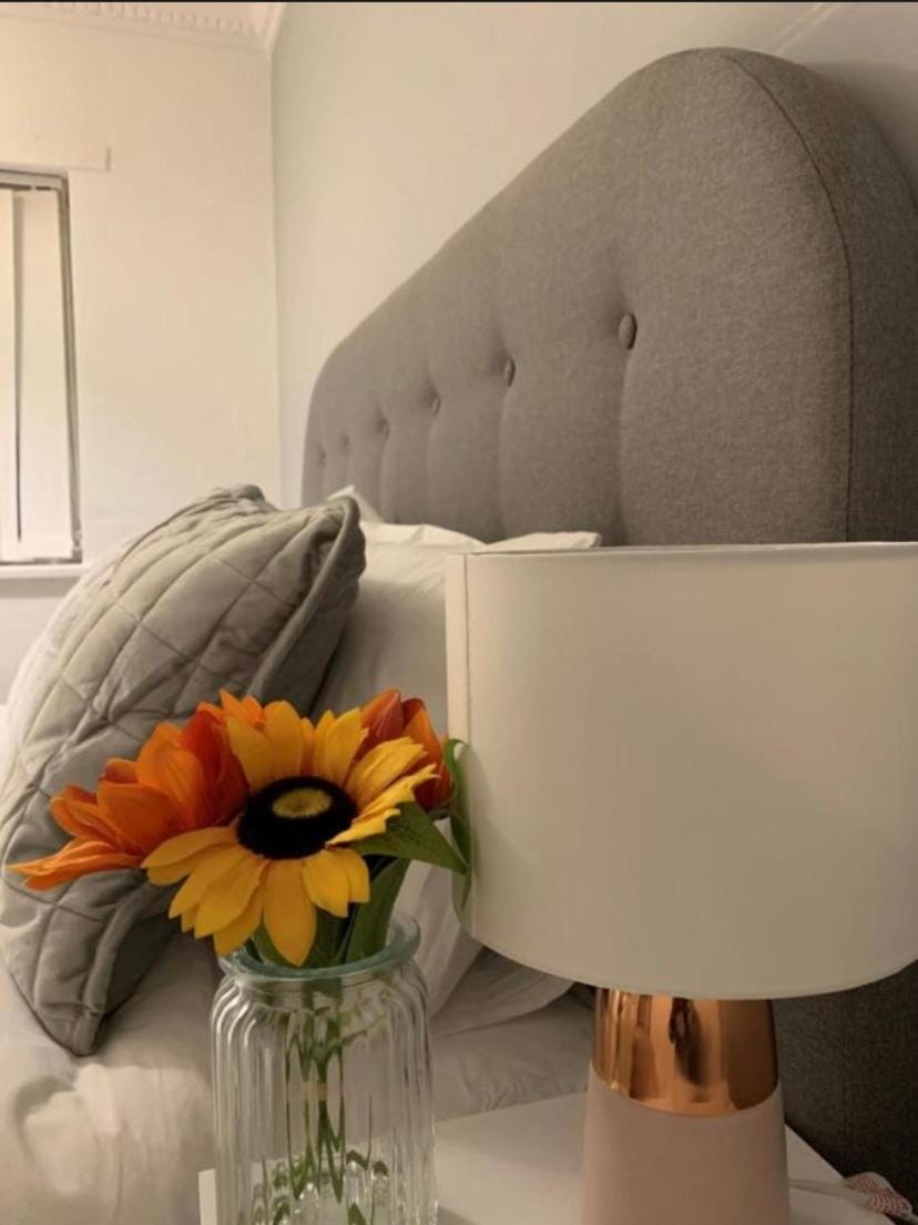 Pallister House Middlesbrough House in Middlesbrough