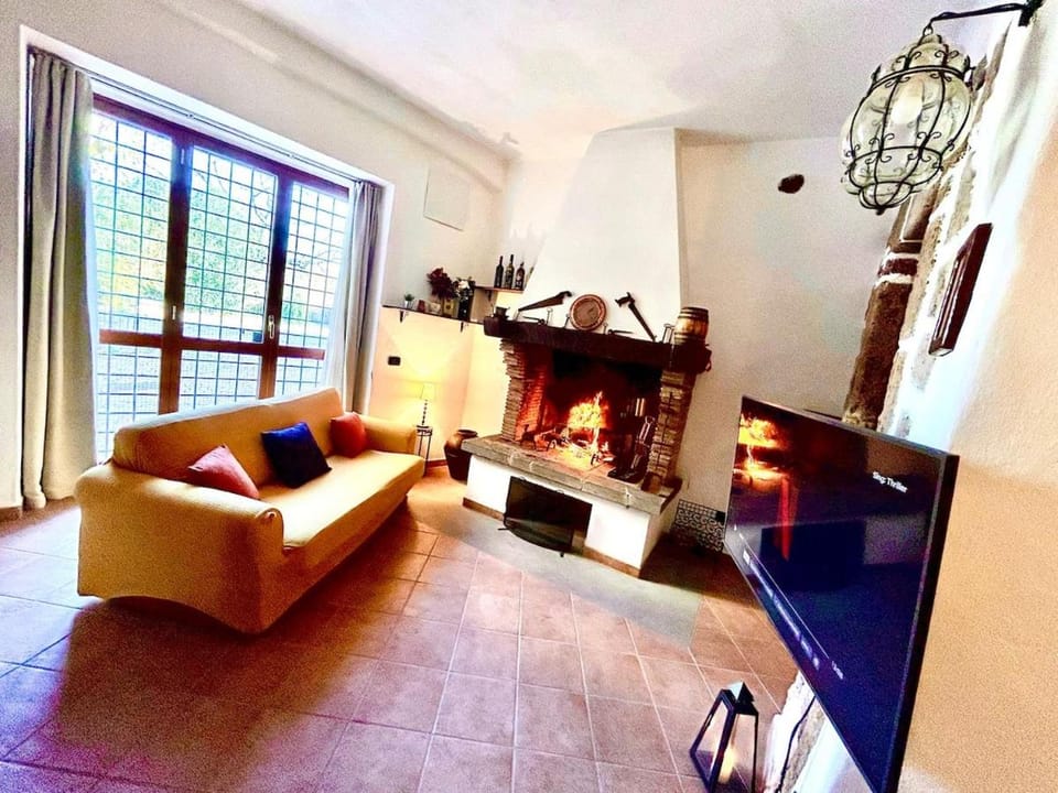 Living room, fireplace