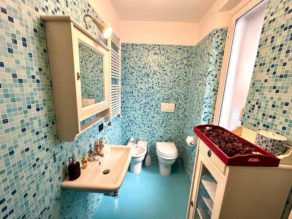 Toilet, Bathroom, bidet