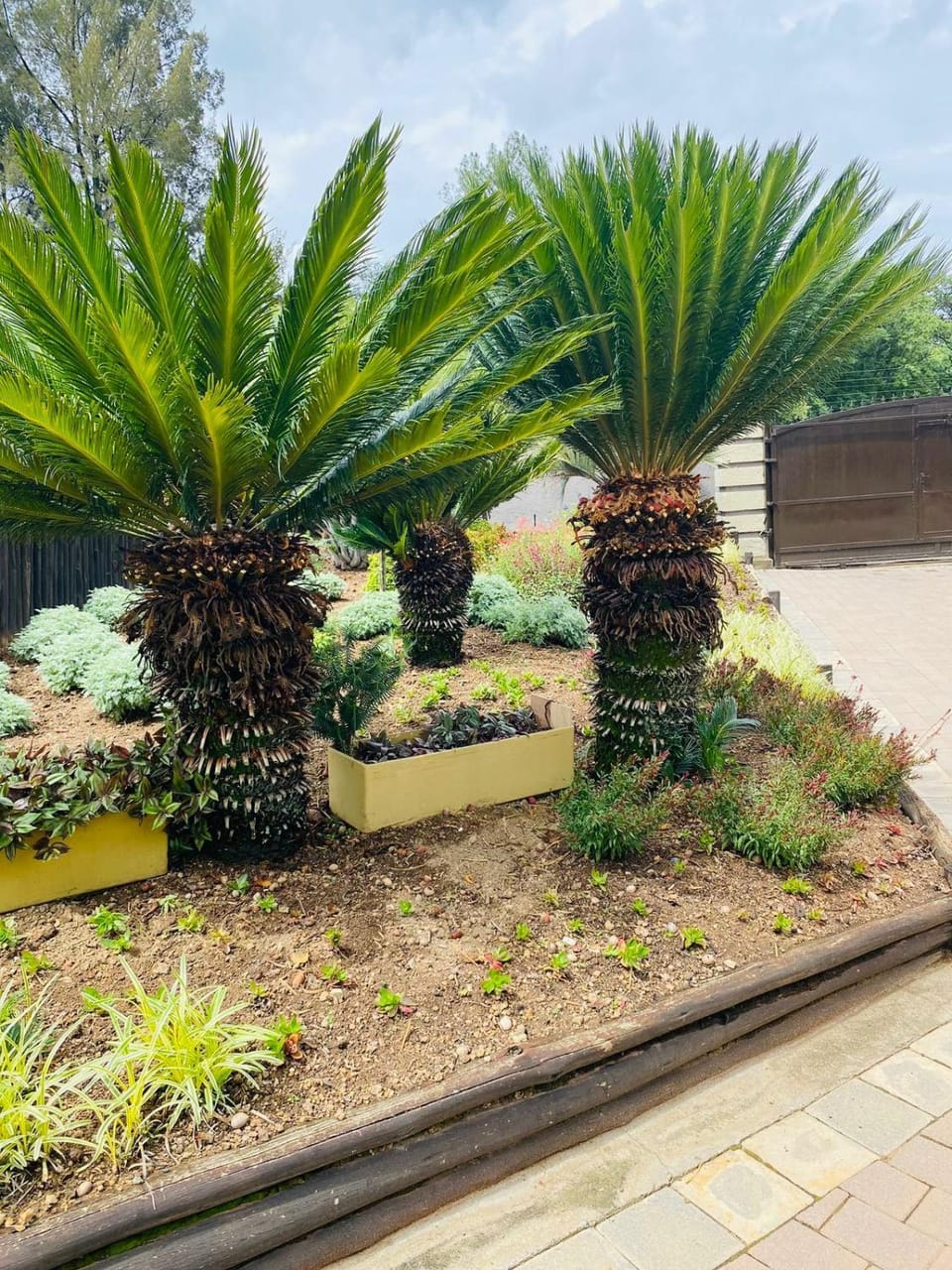 The Adress House in Gauteng