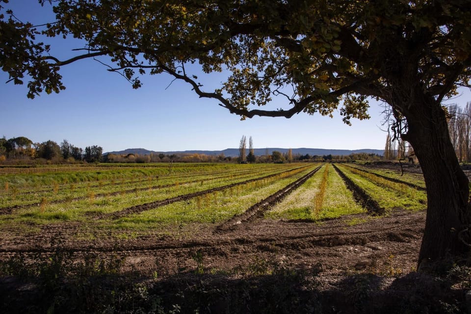 Natural landscape, Garden, Horse-riding, Hiking, Cycling