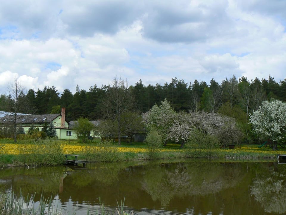 Spring, Natural landscape, Bird's eye view, On site