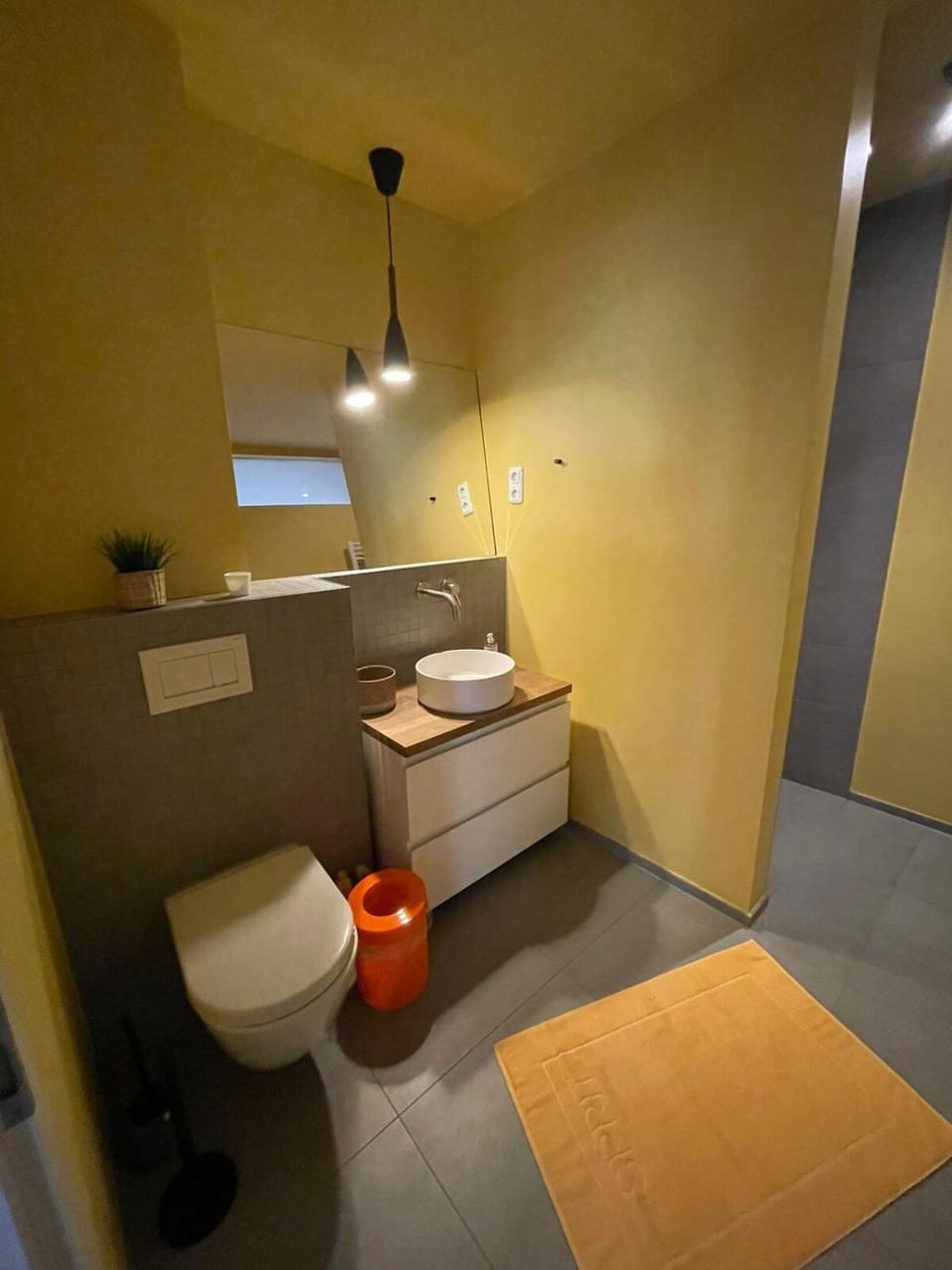 Toilet, Bathroom