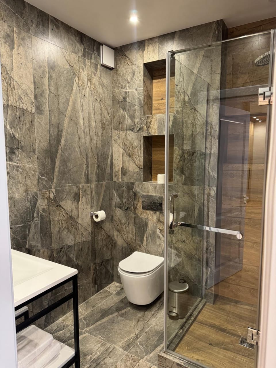 Shower, Toilet