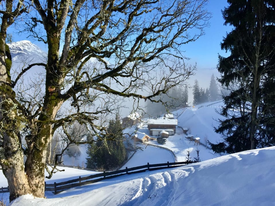 Property building, Skiing
