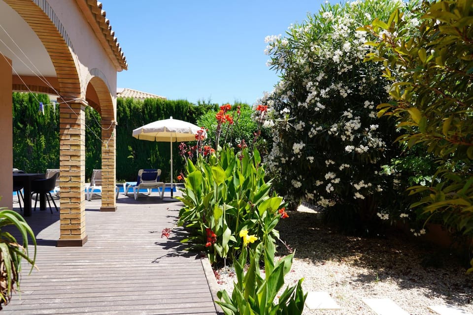 Patio, Garden, Garden view