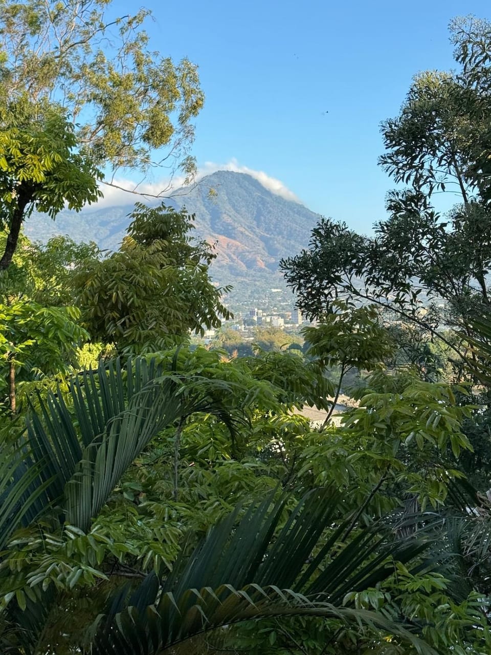 La Bella Suite Apartment in San Salvador