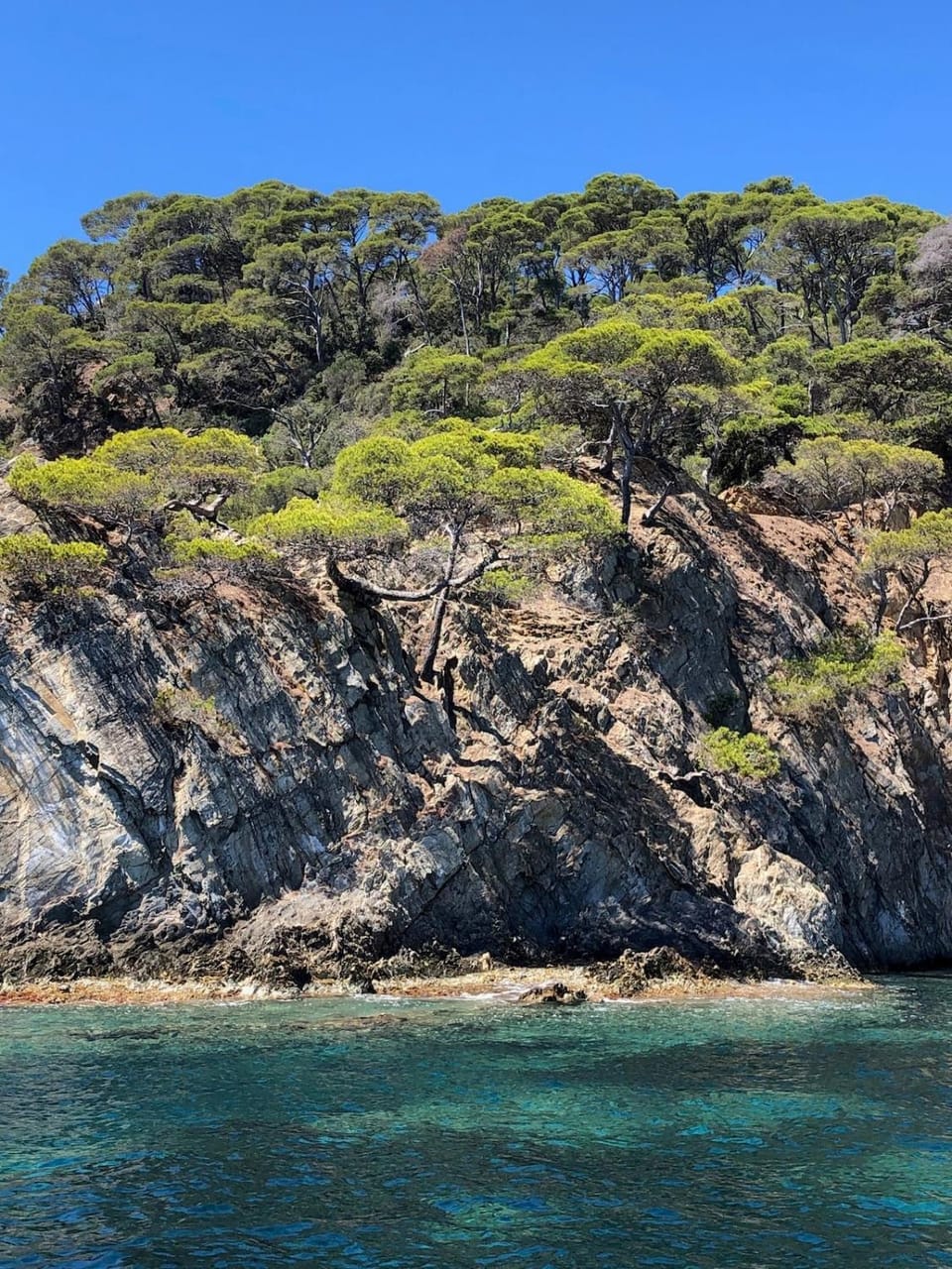 Villa La Sarrazine - Port du Niel - Vue Mer Villa in Hyères