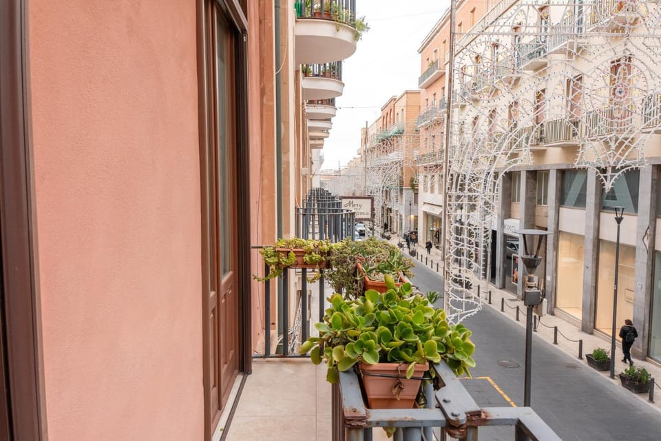 City view, Street view