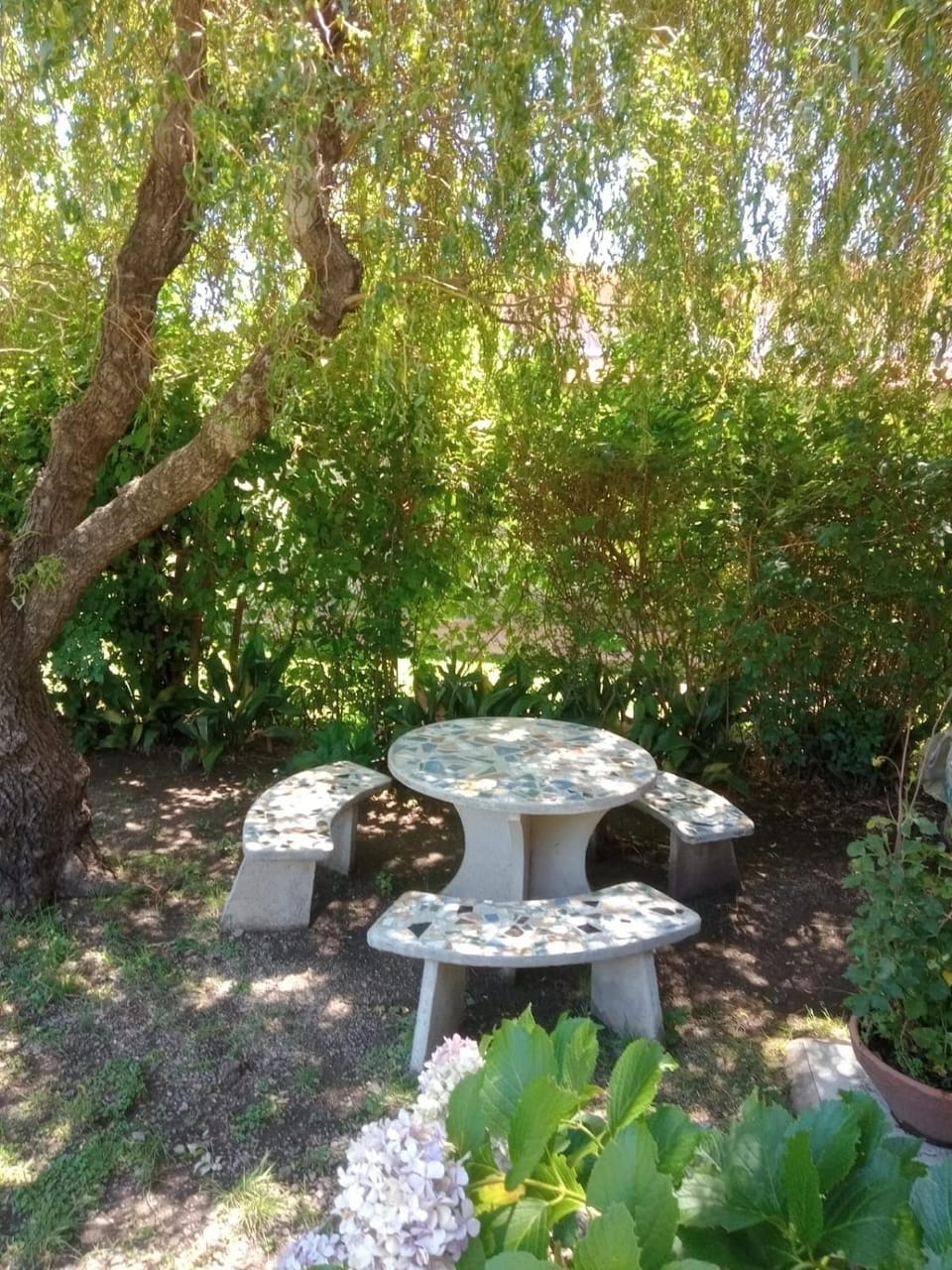 Garden, Garden, Garden view