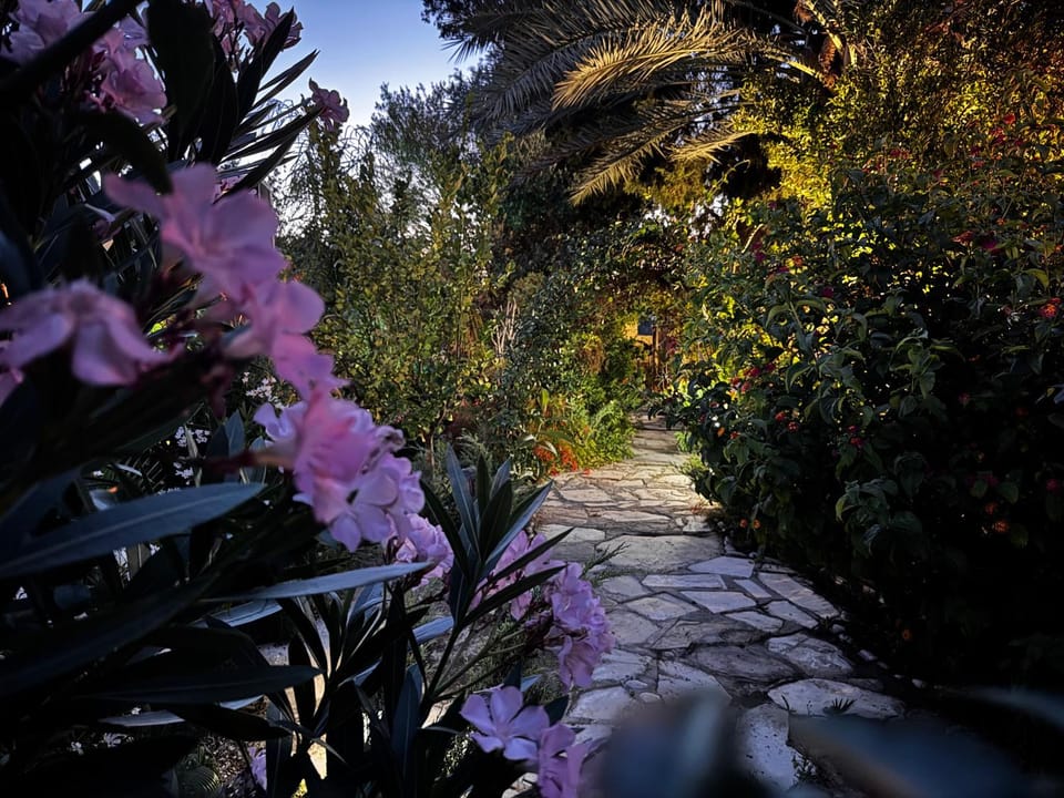 A historic STONE VILLA with private garden, terrace and private pool just for you Villa in Larnaca District