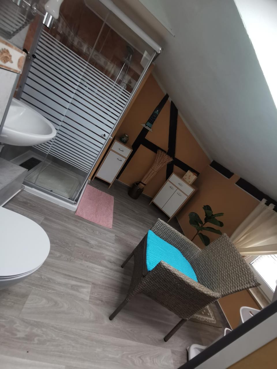 Toilet, Bathroom