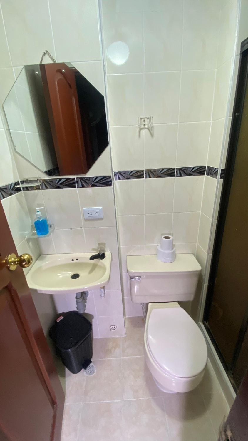 Shower, Toilet, towels