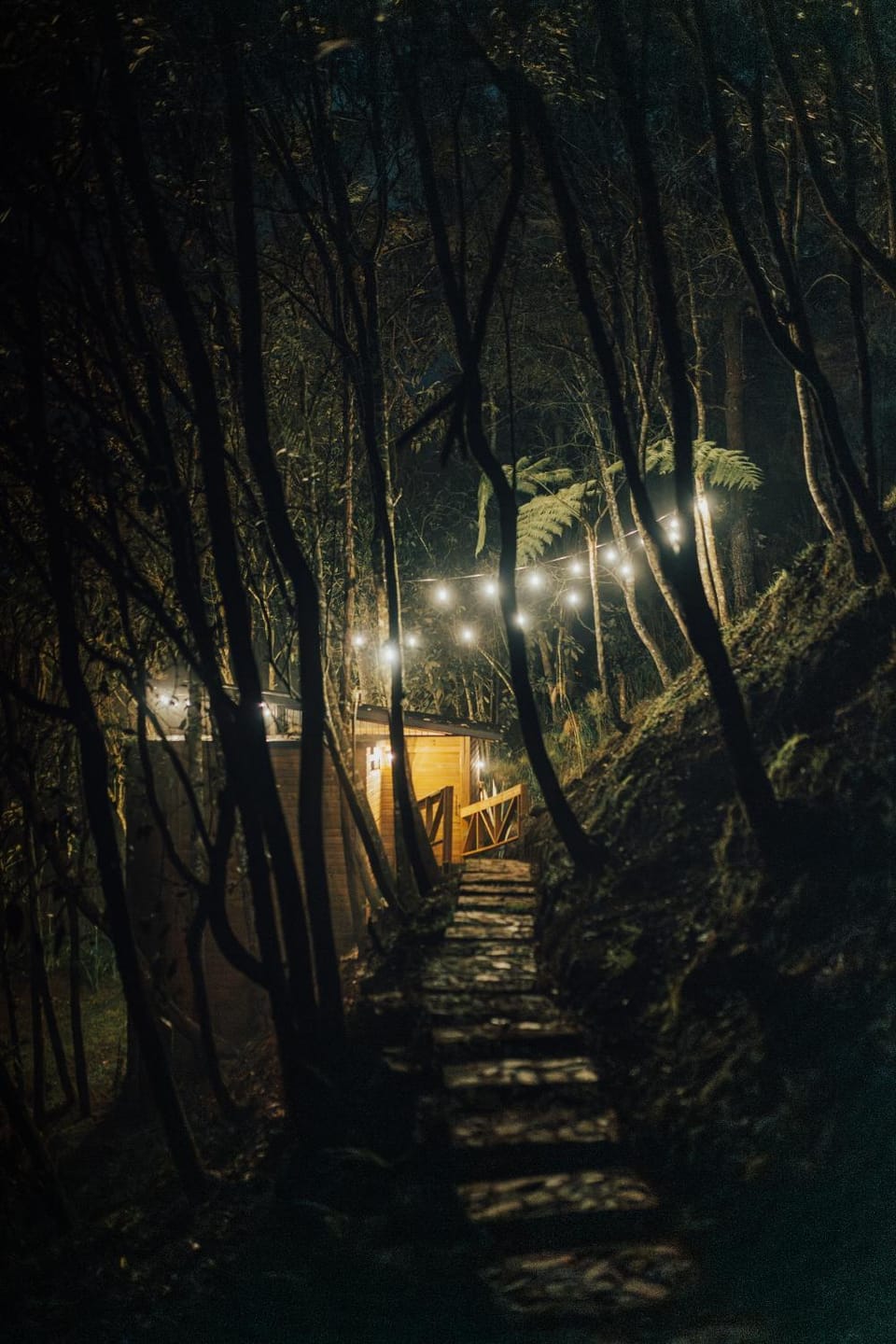 Night, Natural landscape
