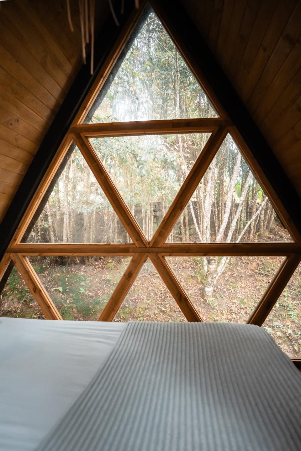 Bed, Garden view