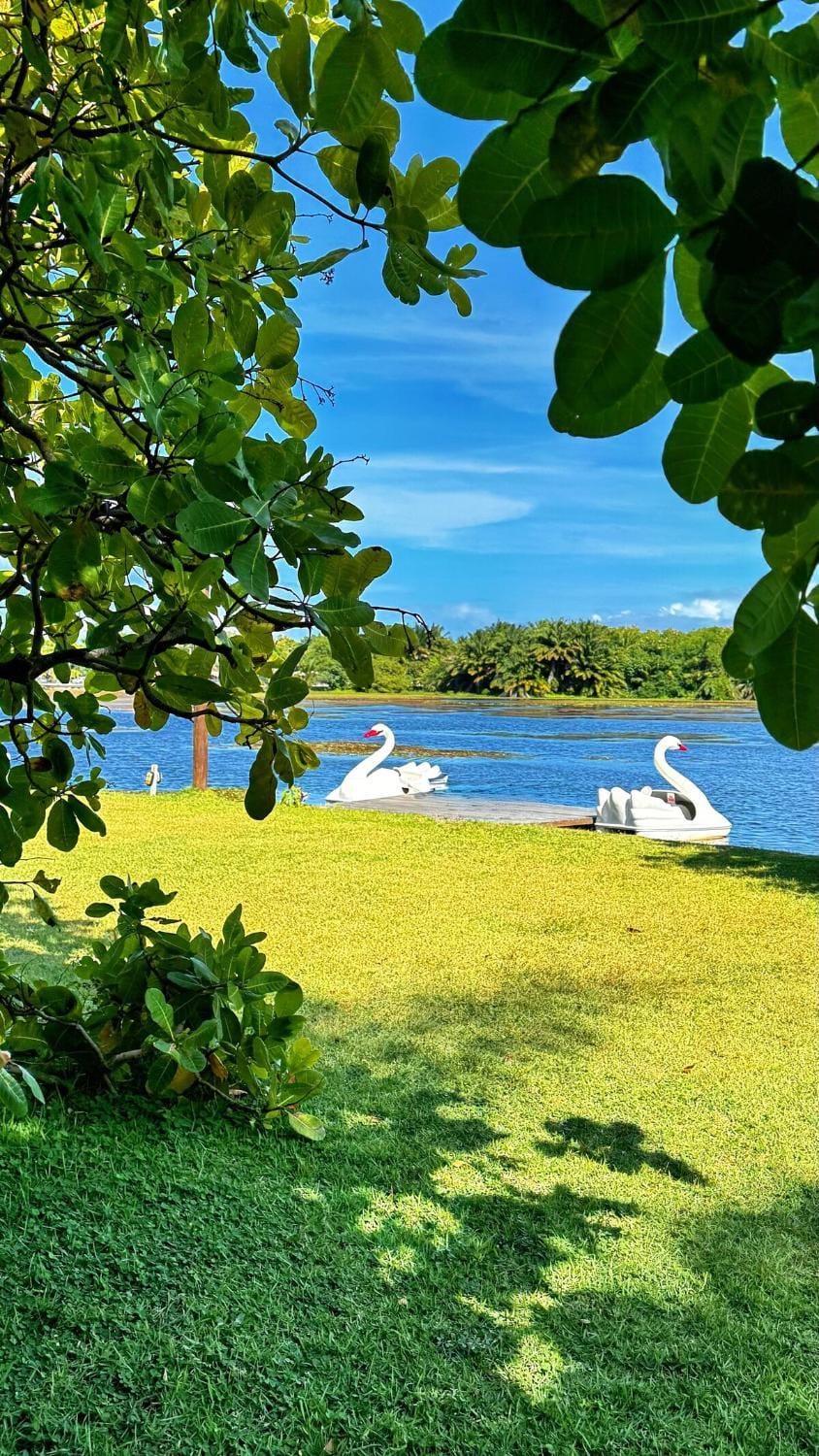 Spring, Day, Natural landscape, Garden, Lake view