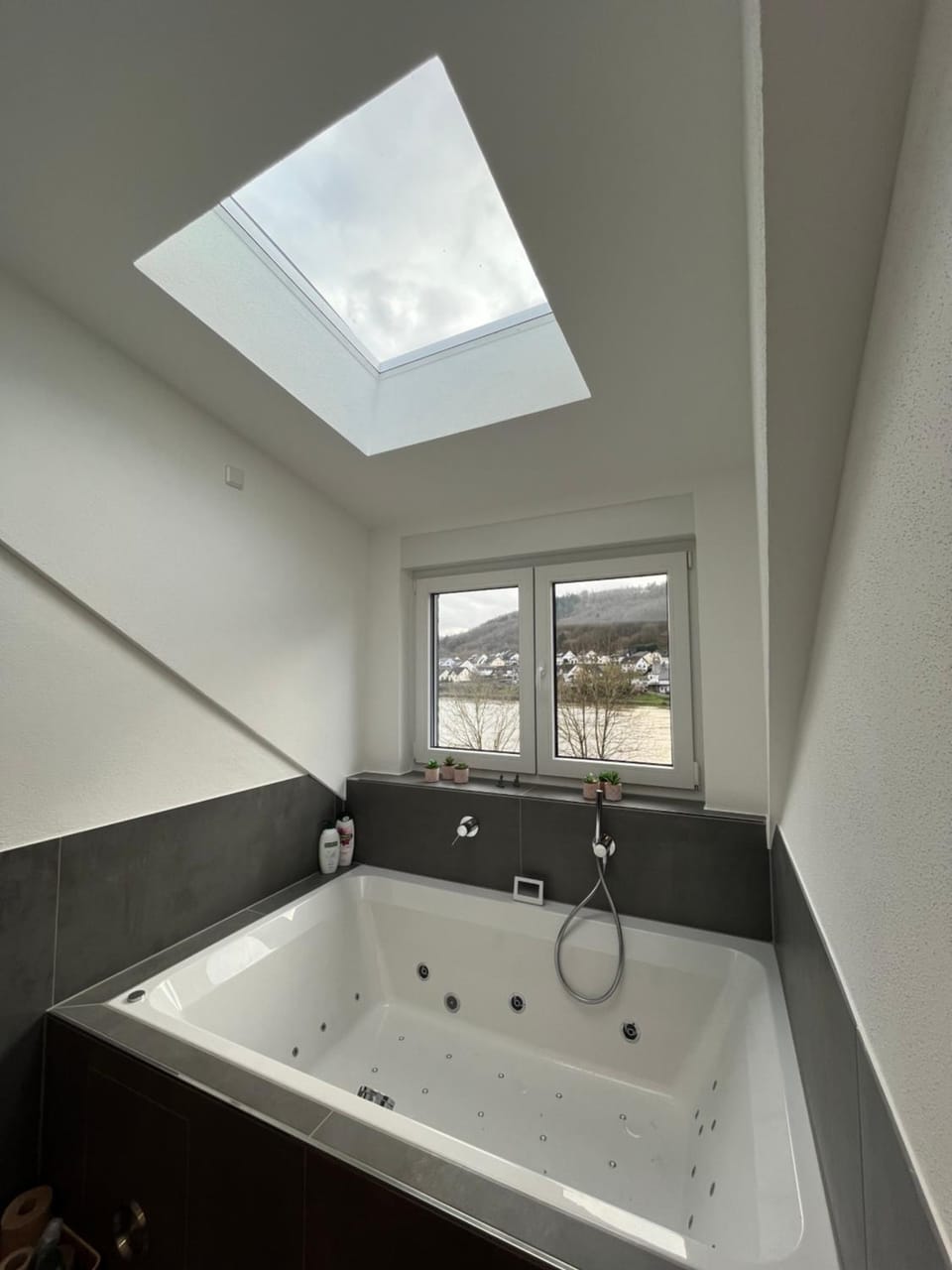 Bathroom, River view