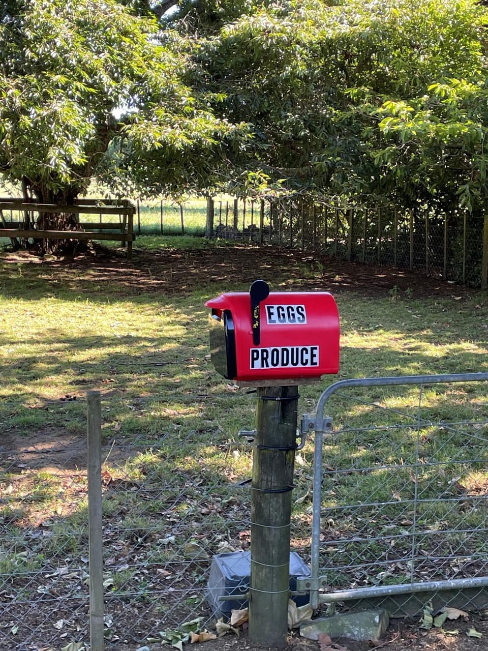 The Little House House in Cambridge