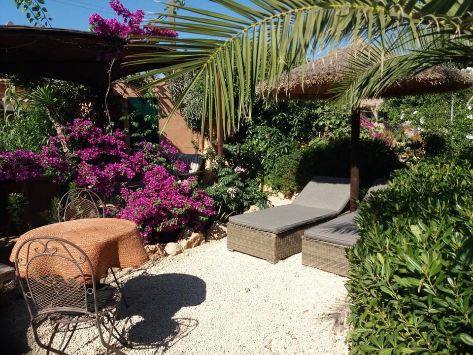 Garden, Garden view, sunbed
