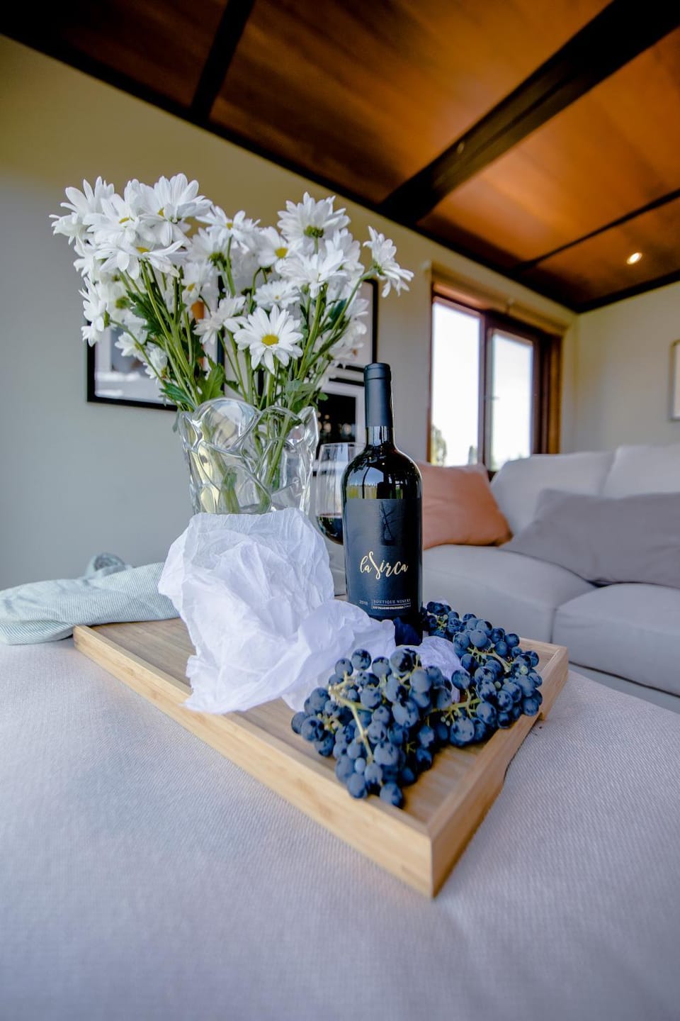La Sirca Boutique Winery Retreat Nature lodge in O'Higgins, Chile
