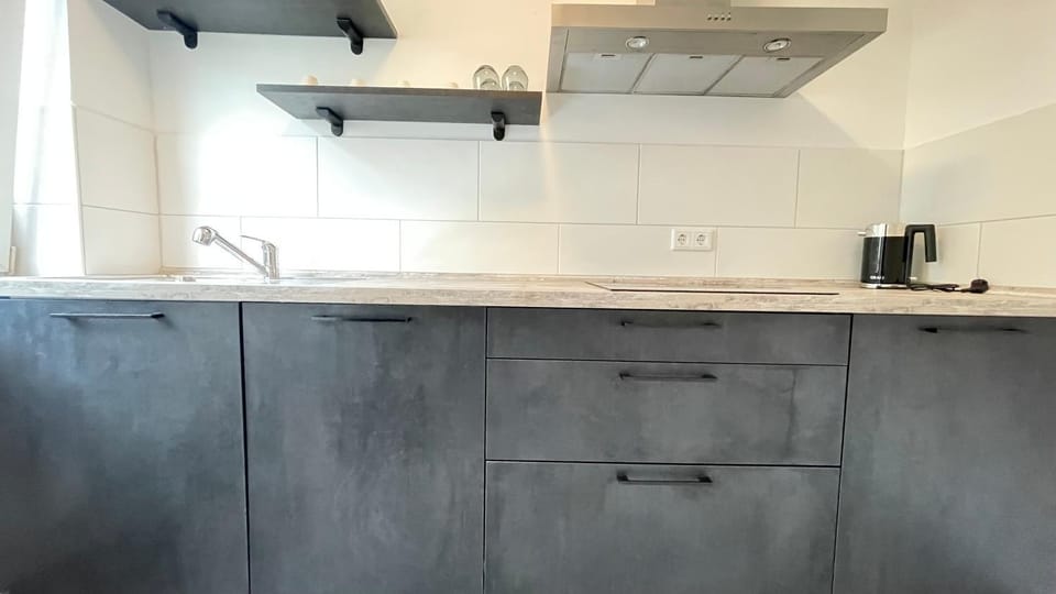 Kitchen or kitchenette, dishwasher, stove