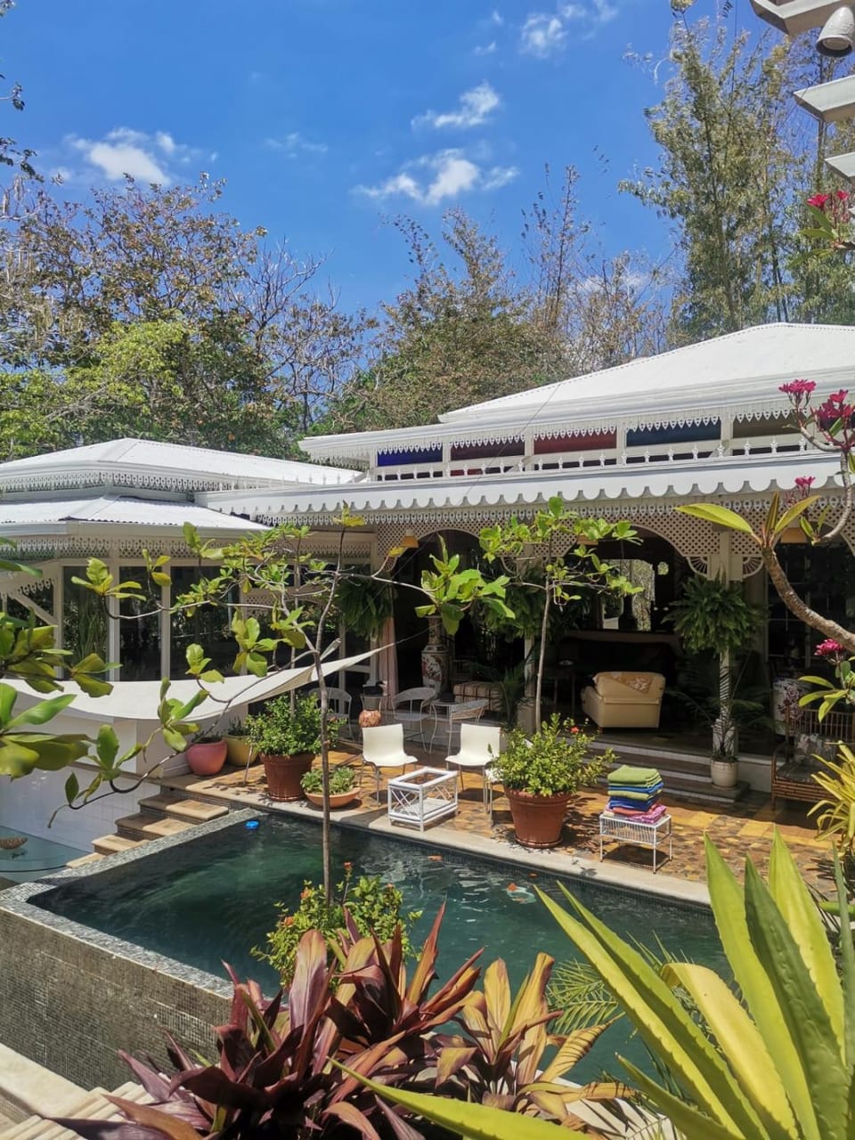 Pool view, Swimming pool