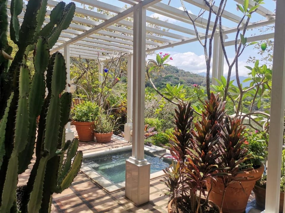 Day, Natural landscape, Garden, Garden view, Pool view, Swimming pool