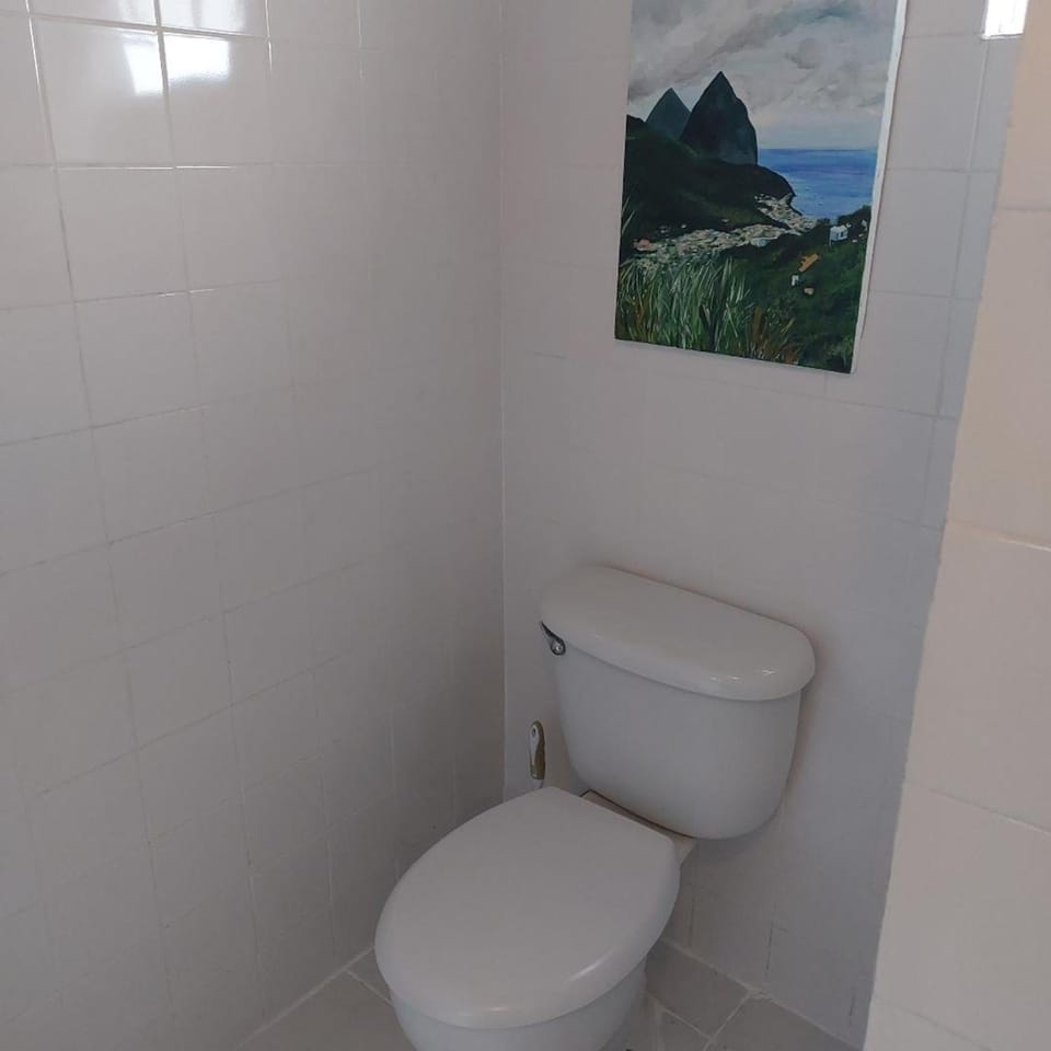 Toilet, Bathroom, Decorative detail