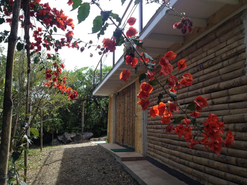 Garden, Sauna