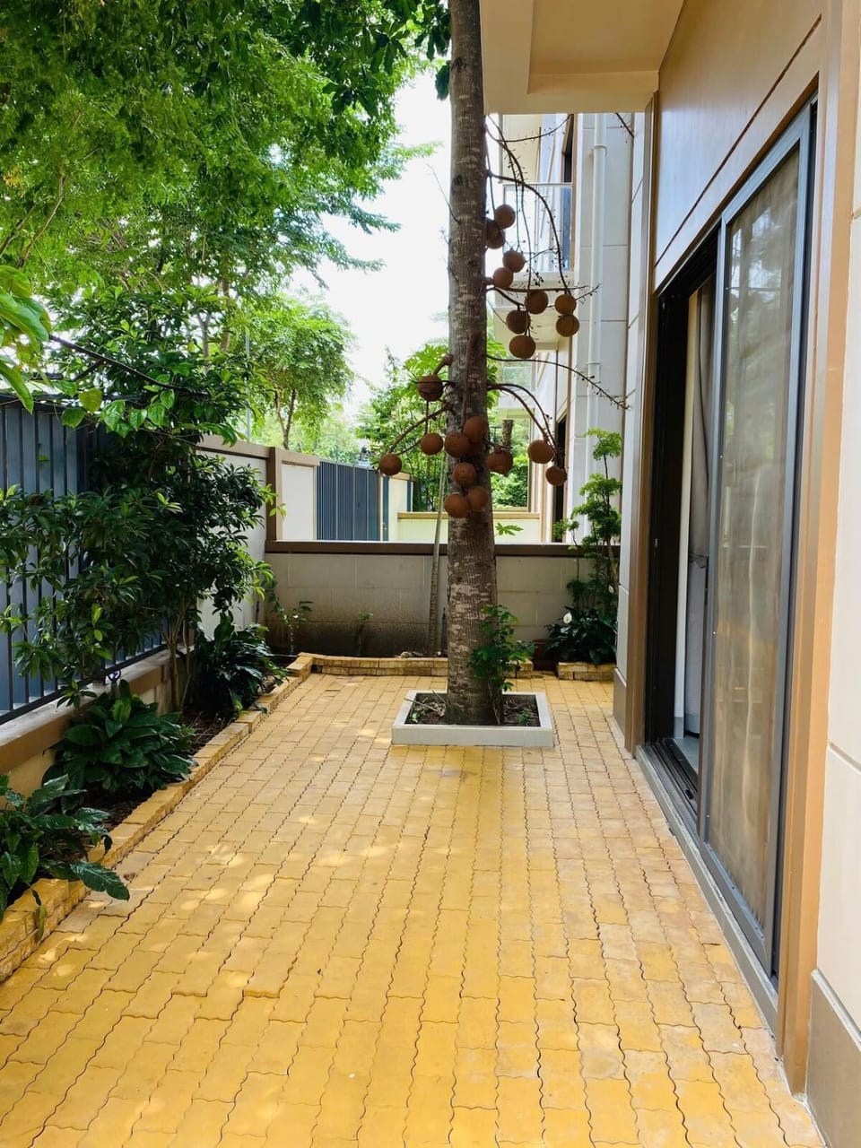 Property building, Spring, Day, Garden, Garden view