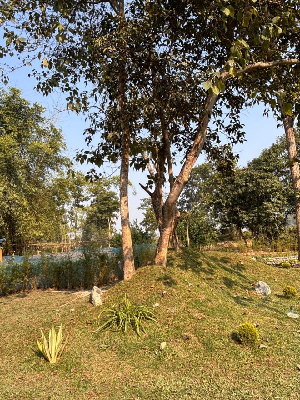 View (from property/room)