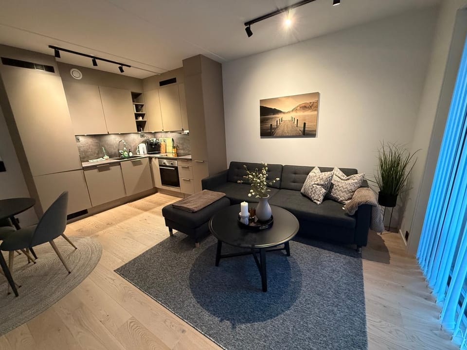 Koselig leilighet nært sentrum Apartment in Tromso