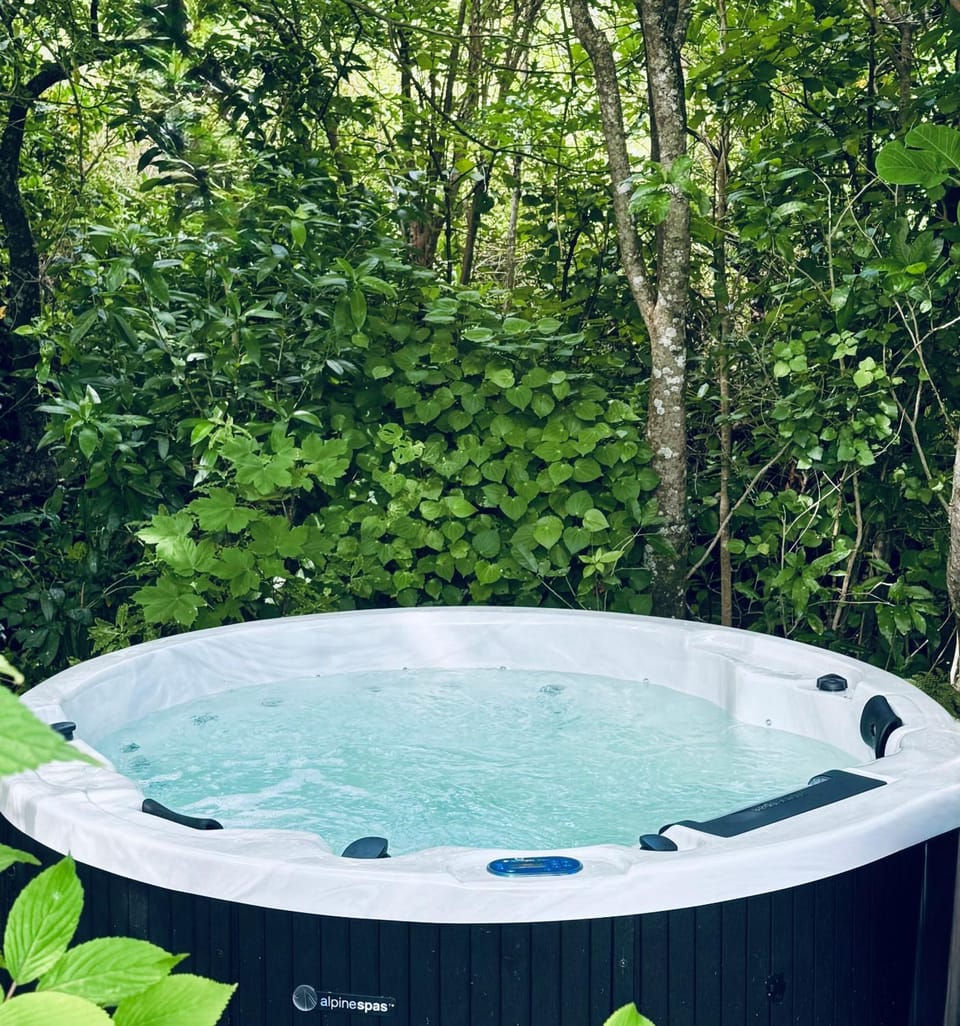 Hot Tub, Spa and wellness centre/facilities, Swimming pool