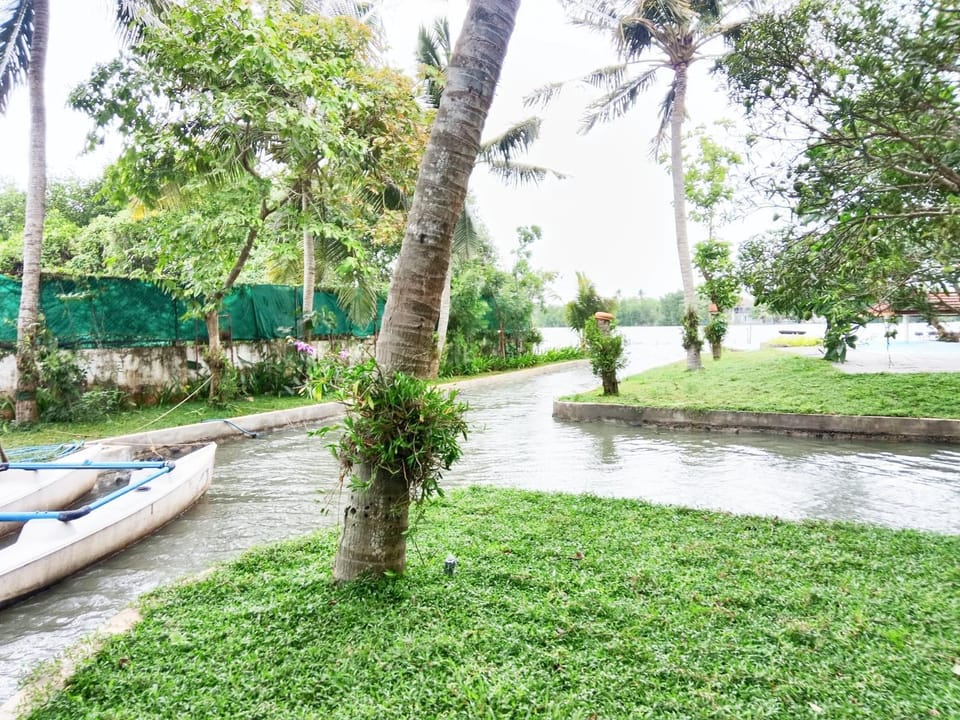 Lake view, River view